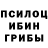 Псилоцибиновые грибы GOLDEN TEACHER M1shan1a `