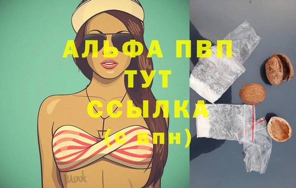 стафф Белокуриха