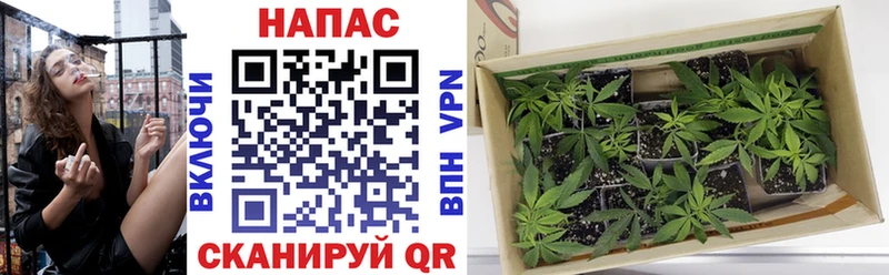 Марихуана ГИДРОПОН  купить закладку  Ялта 